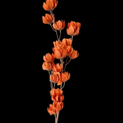 Bloesemtak | Action NL* Online