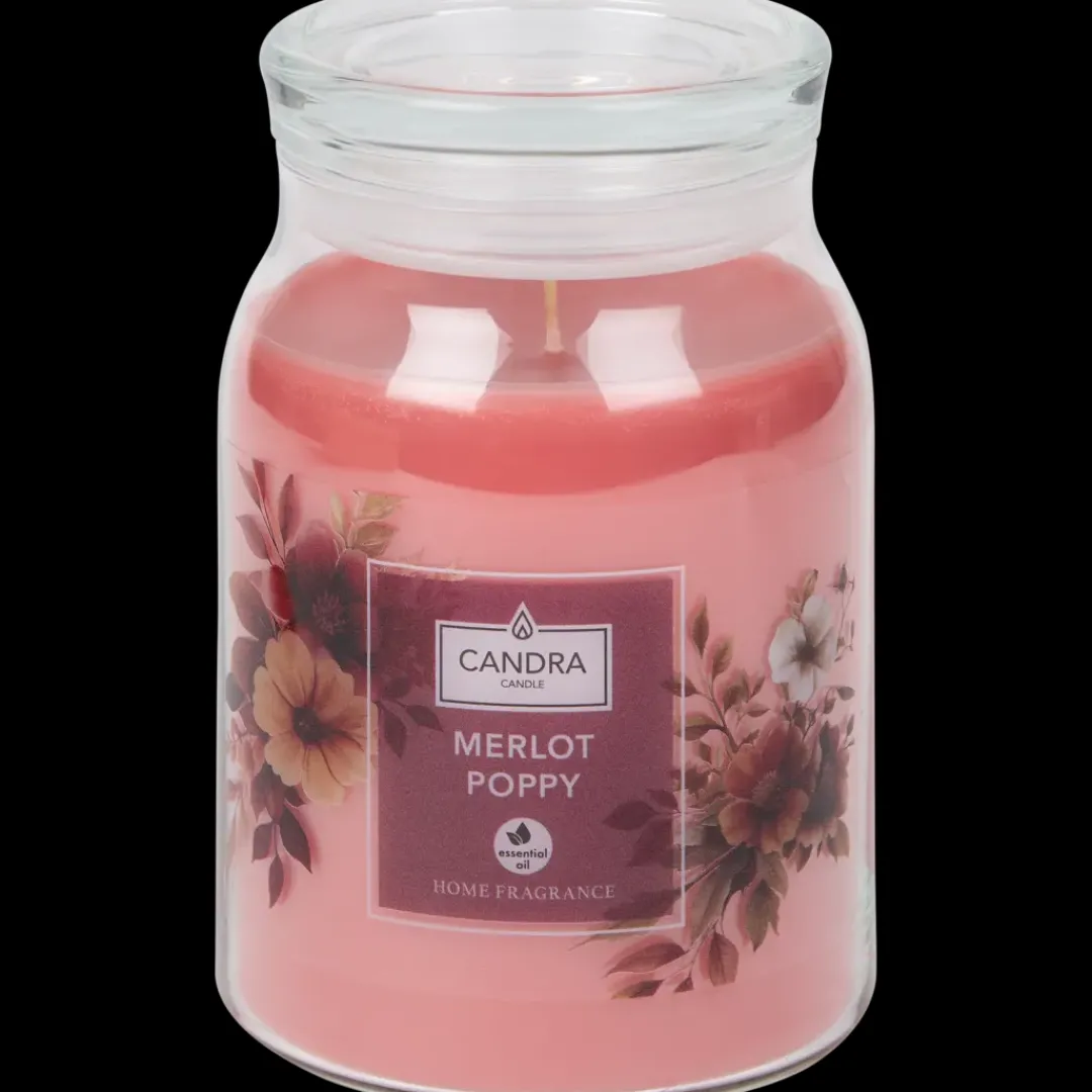 geurkaars | Action NL*Candra Hot
