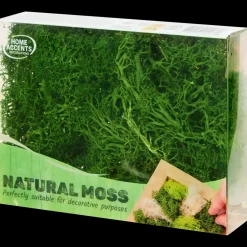 Decoratief mos | Action NL*
