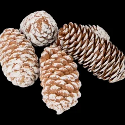 Decoratiemix | Action NL* Clearance