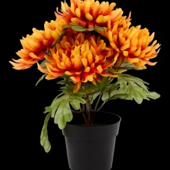 Excellent Flowers chrysant in pot | Action NL* Best