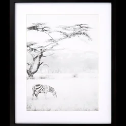 Fotolijst Texas 40 x 50 cm | Action NL* Discount