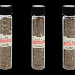 Kattenkruid | Action NL* Hot