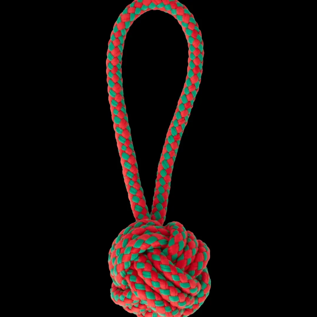 Kerst hondenspeelgoed | Action NL* New