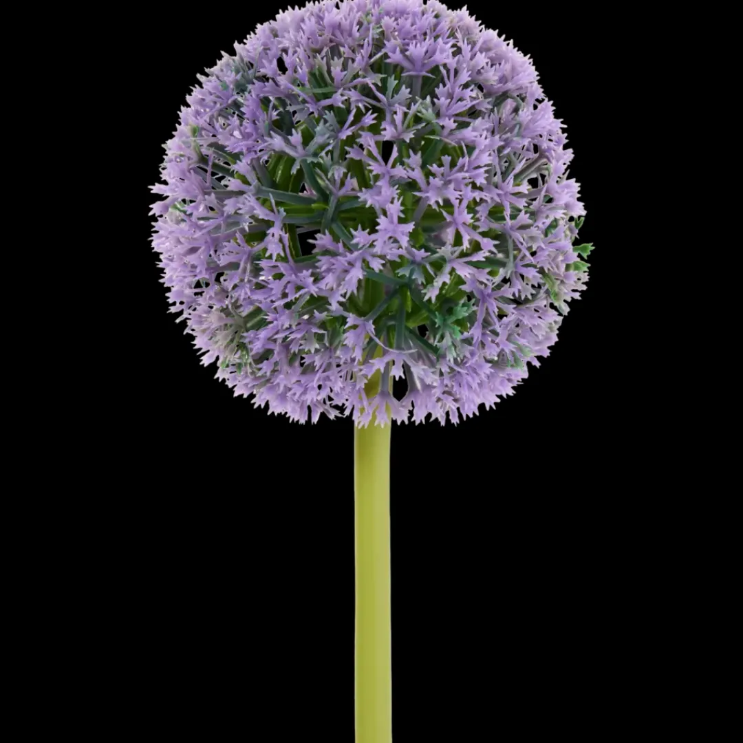 Kunstallium op steel | Action NL* Clearance