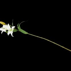 Kunstlelie | Action NL* Clearance