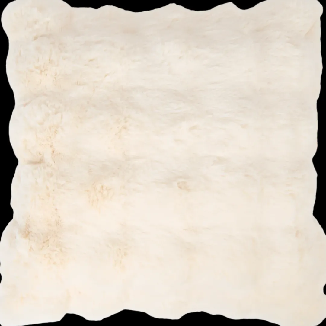 Kussenhoes Maxime 45 x 45 cm | Action NL* Hot