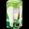 ledlamp 17 watt 2500 lm | Action NL*LSC Sale