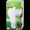 ledlamp 12 watt 1521 lm | Action NL*LSC New