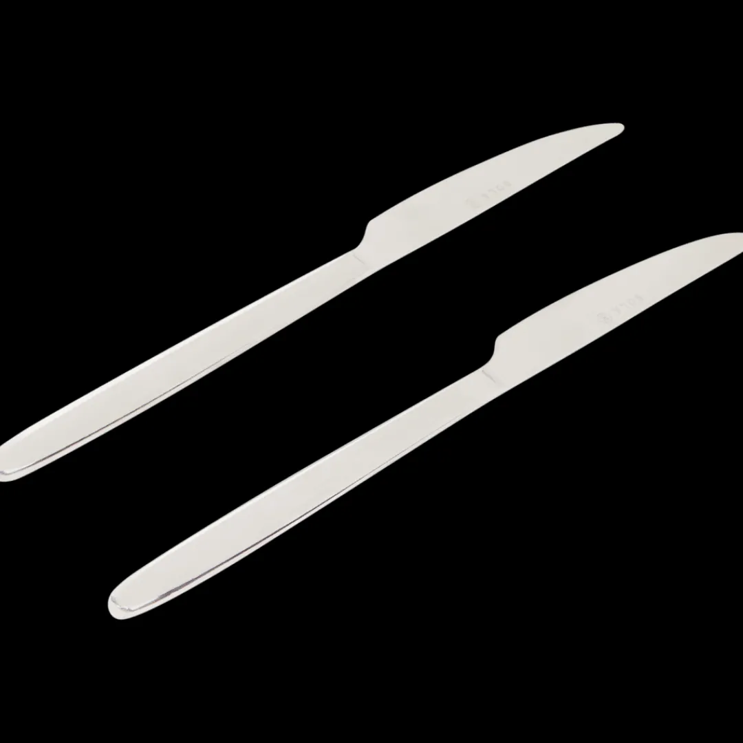 Ibiza messen Zilver 2 Stuks | Action NL*Sola Online